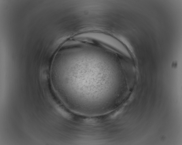 X0000093100105200710101546