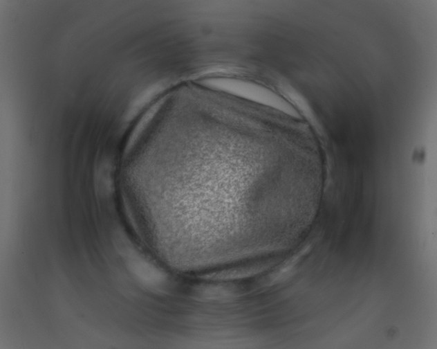 X0000093100106200710101546