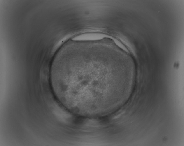 X0000093100107200710101546