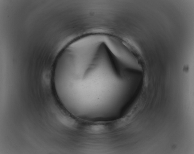 X0000093100108200710101546