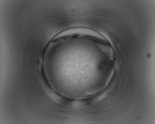 X0000093100109200710101546