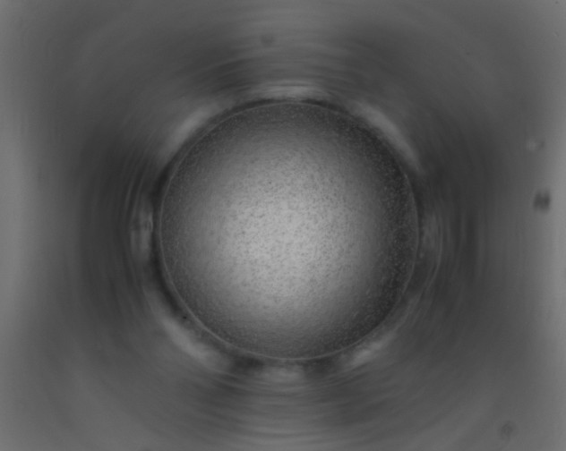 X0000093100110200710101546