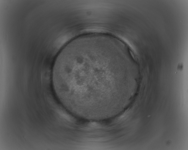 X0000093100111200710101546