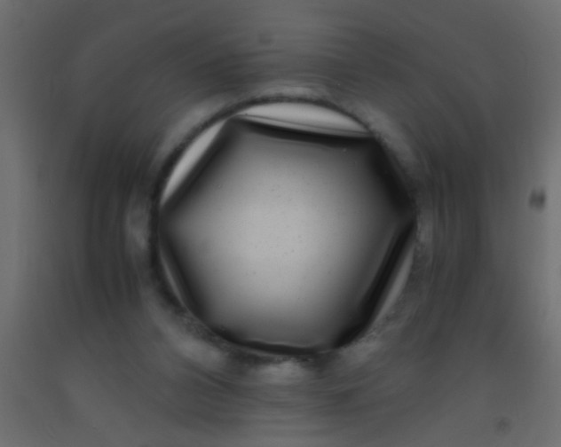 X0000093100112200710101546