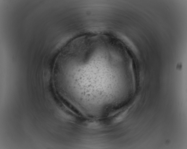 X0000093100113200710101546