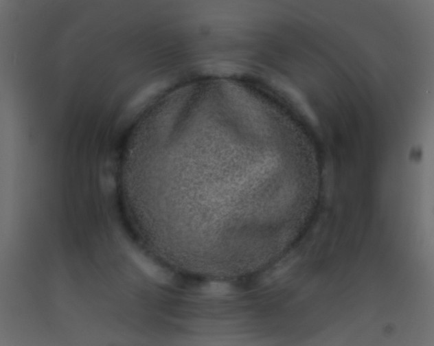 X0000093100114200710101546