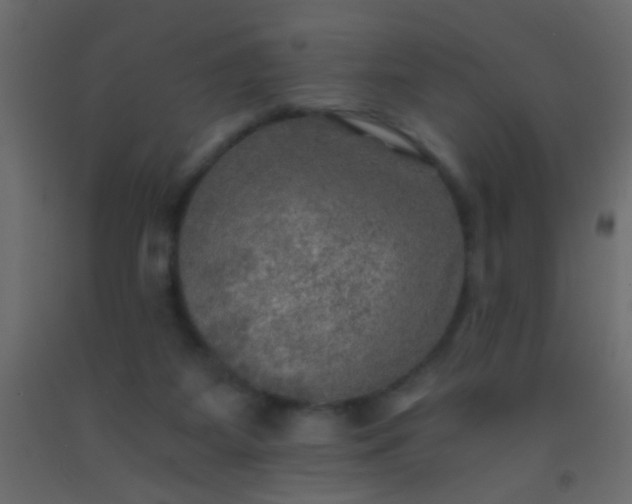 X0000093100115200710101546