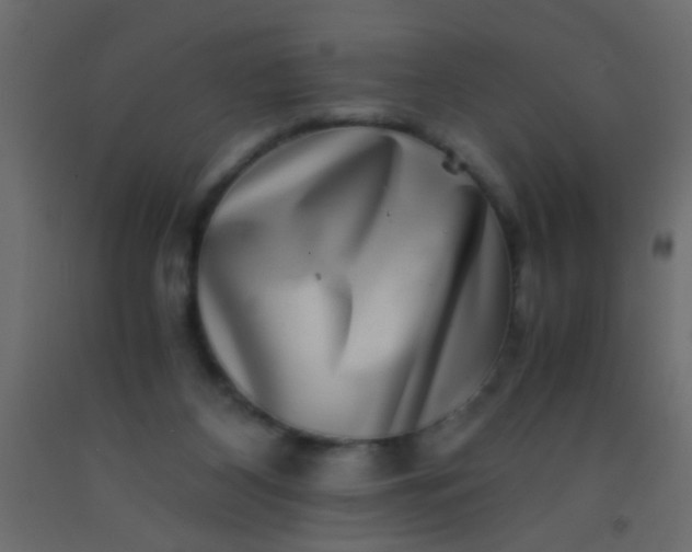 X0000093100116200710101546