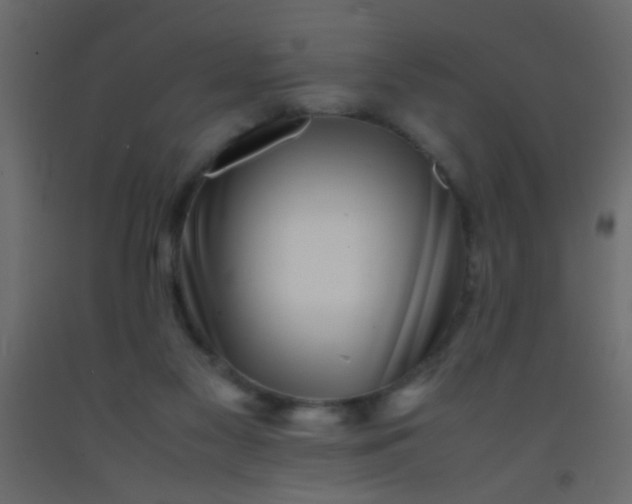 X0000093100117200710101546