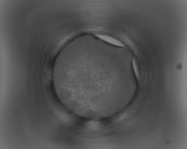 X0000093100119200710101546