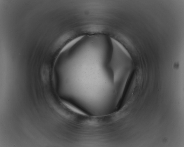 X0000093100120200710101546