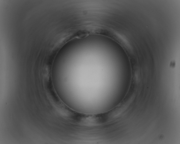 X0000093100121200710101546