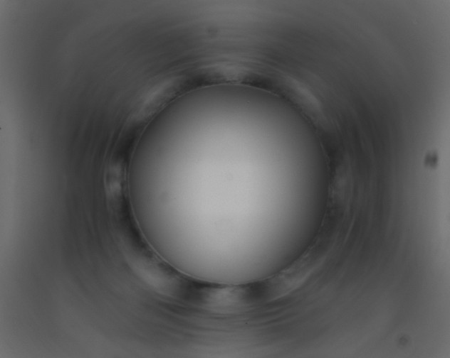 X0000093100122200710101546