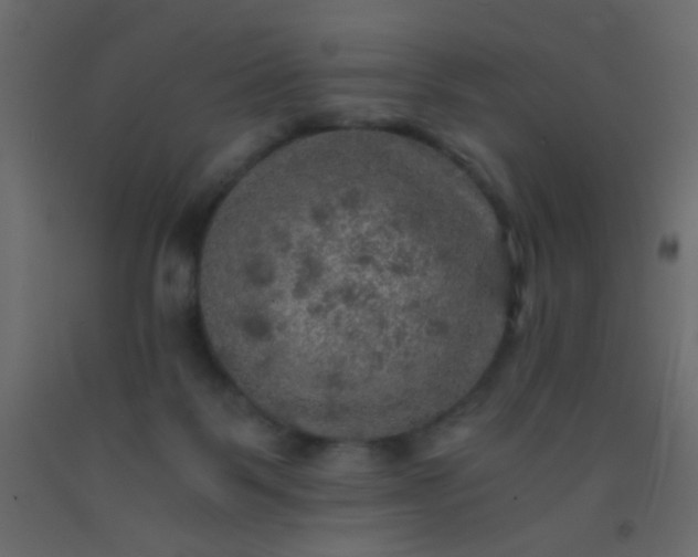 X0000093100123200710101546