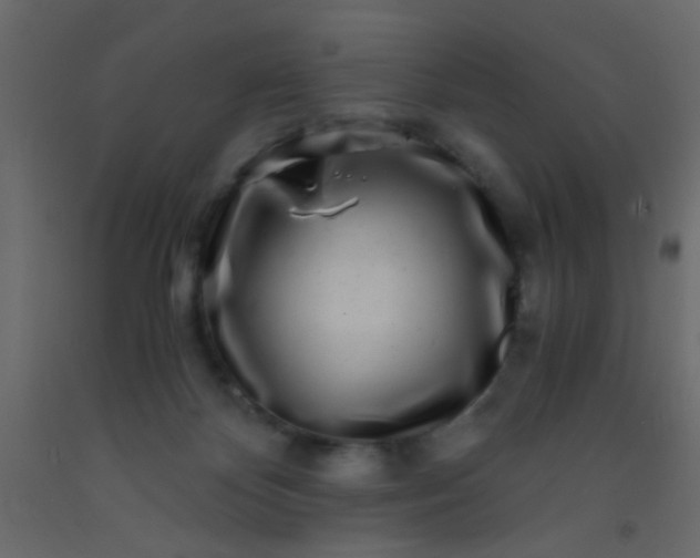 X0000093100124200710101546