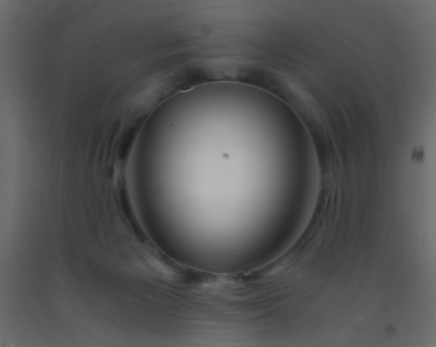 X0000093100125200710101546