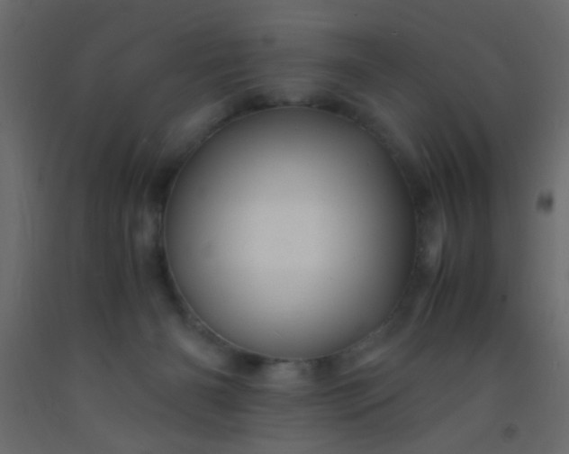 X0000093100126200710101546