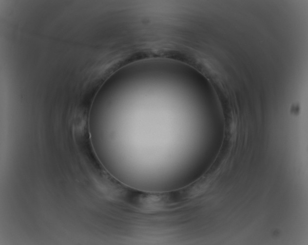 X0000093100129200710101546