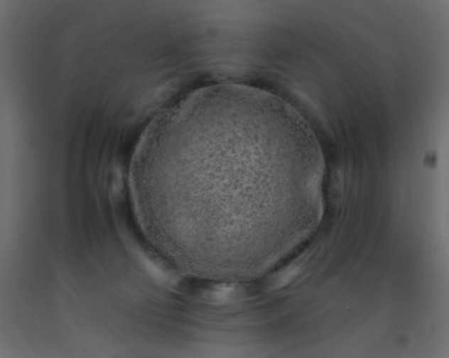 X0000093100130200710101546