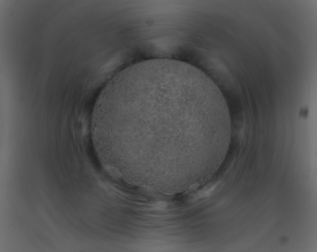 X0000093100131200710101546