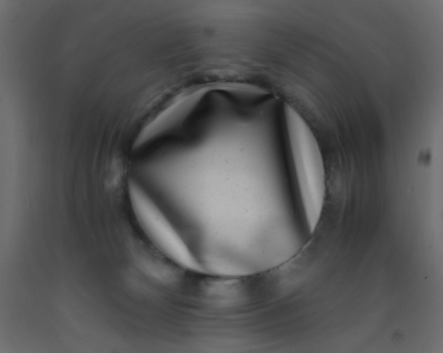 X0000093100132200710101546