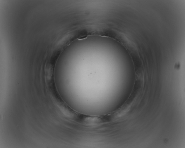X0000093100133200710101546