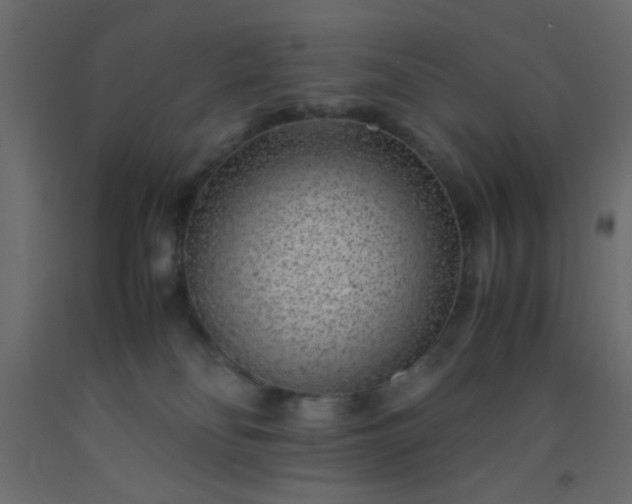 X0000093100134200710101546