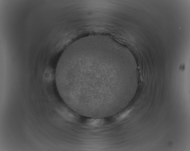 X0000093100135200710101546