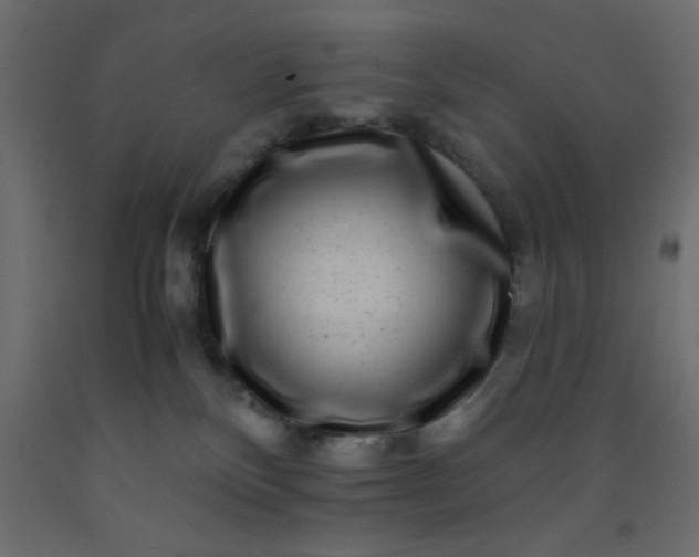 X0000093100136200710101546