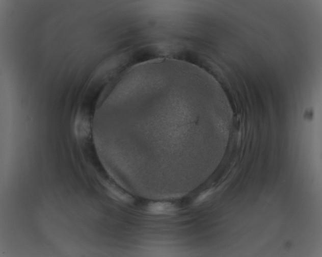 X0000093100137200710101546