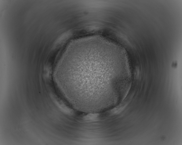 X0000093100138200710101546