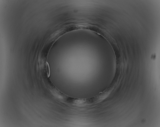 X0000093100139200710101546