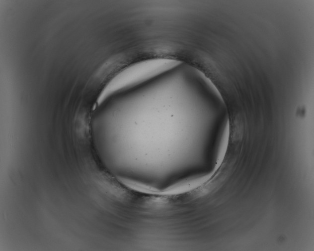 X0000093100140200710101546