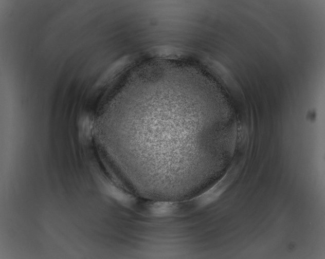 X0000093100142200710101546