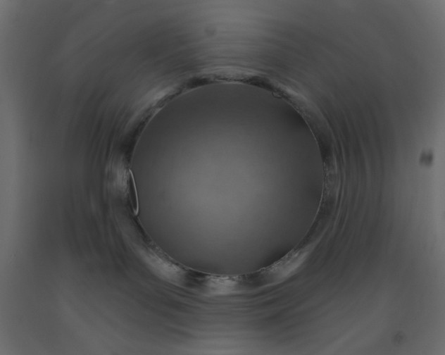 X0000093100143200710101546