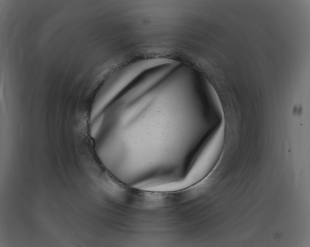X0000093100144200710101546