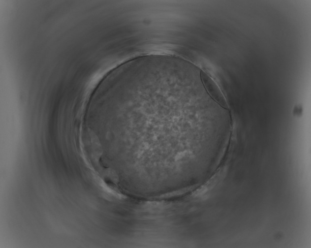 X0000093100145200710101545