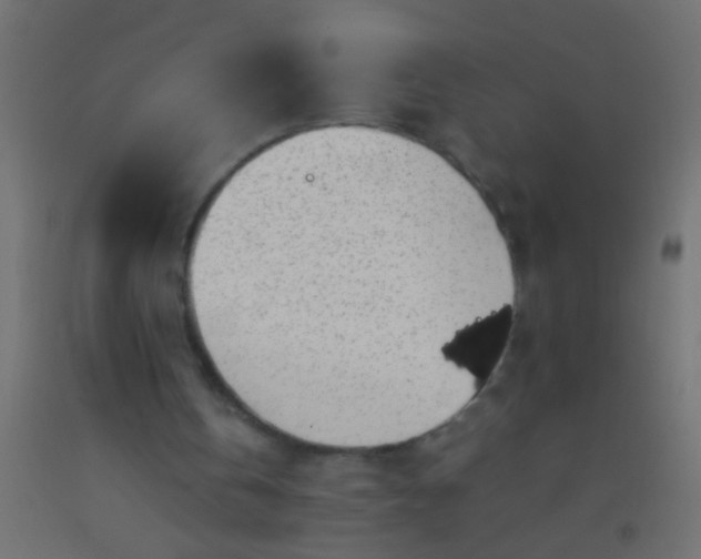X0000093100146200710101545