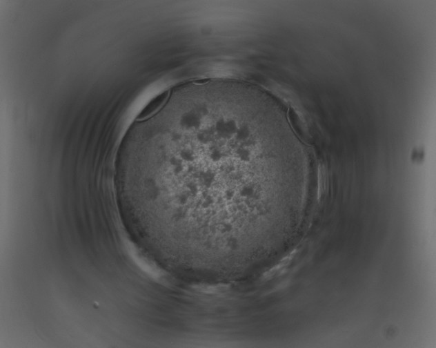 X0000093100147200710101545