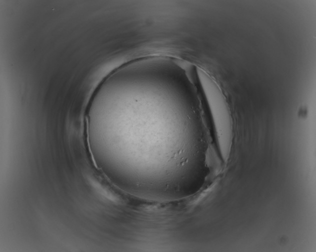 X0000093100148200710101545