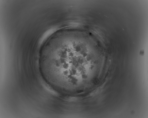 X0000093100149200710101545