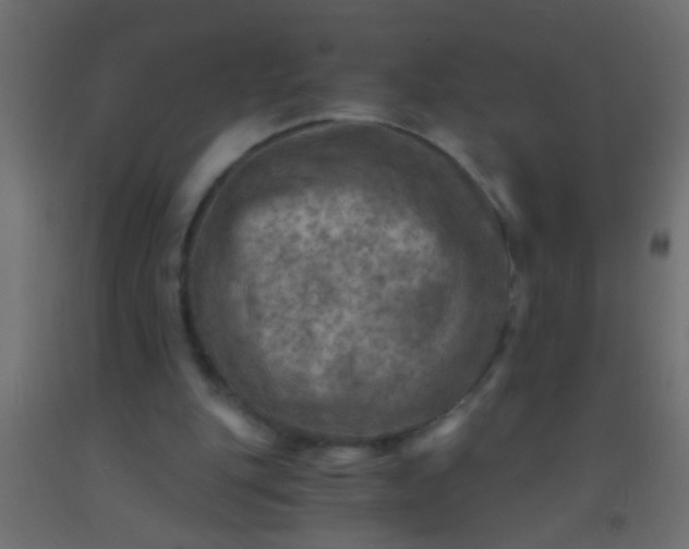 X0000093100151200710101545