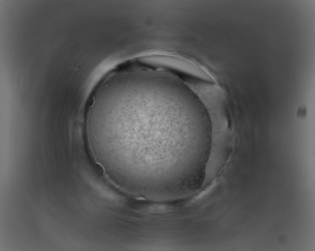 X0000093100152200710101545