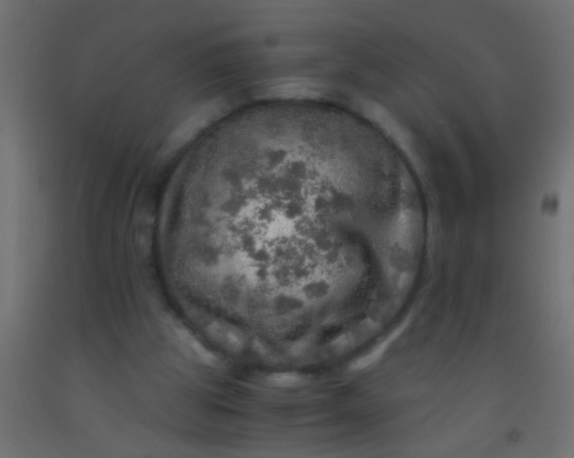 X0000093100153200710101545