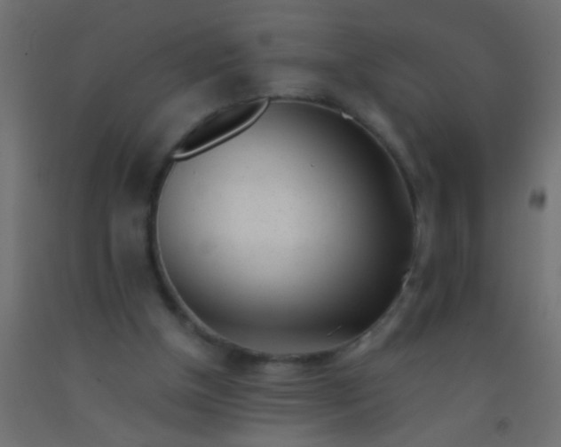 X0000093100154200710101545