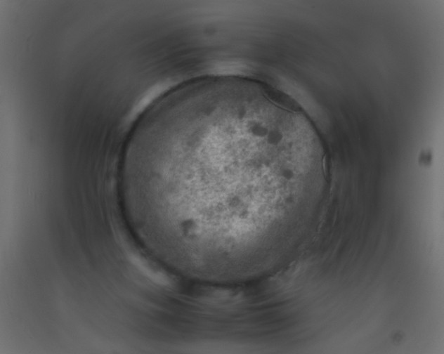 X0000093100155200710101545