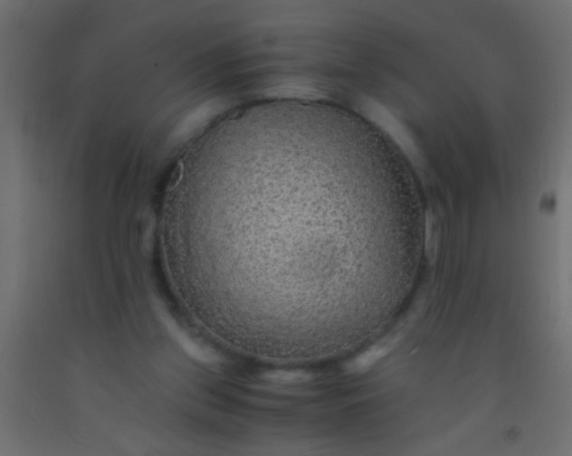 X0000093100157200710101545