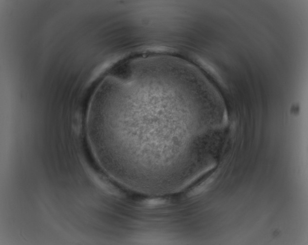 X0000093100158200710101545