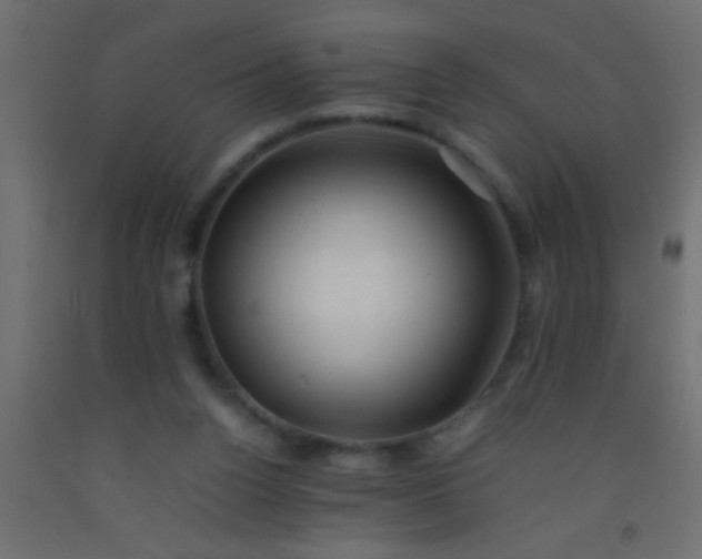 X0000093100160200710101545