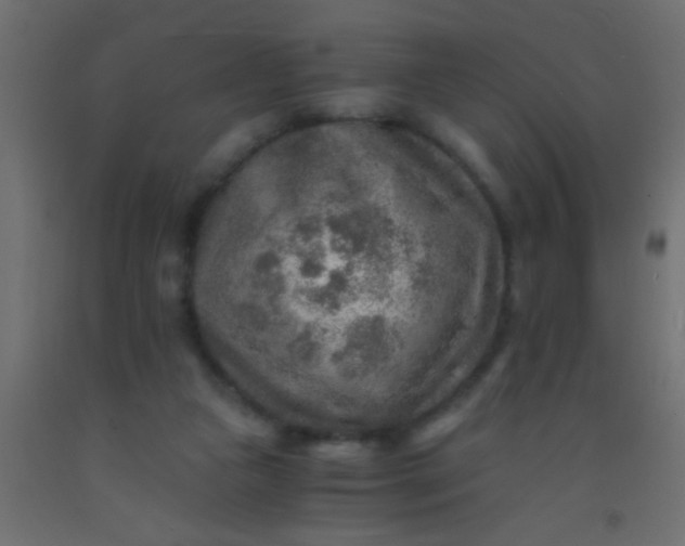X0000093100161200710101545
